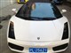 Gallardo 2007款 5.0 SPYDER