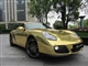 Cayman 2009款 Cayman 2.9