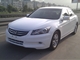 雅阁 2011款 2.4 EX Navi