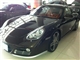Cayman 2009款 Cayman 2.9