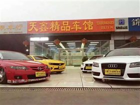 【图】公司介绍_成都天鑫汽车金融投资部