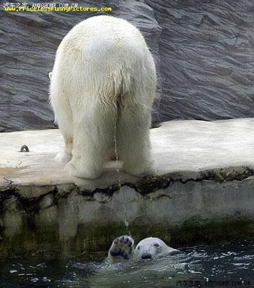 激情彭湃的色情电话