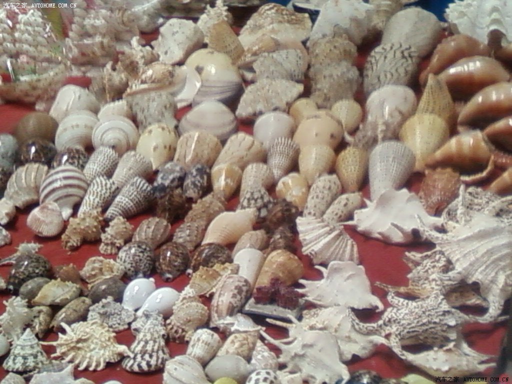 【图】天津塘沽洋货市场淘宝★路遇一跑车★