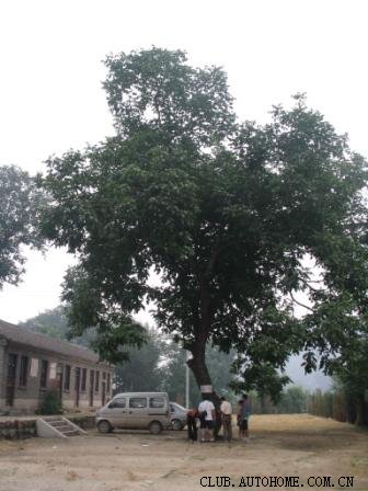 【图】唐县大茂山一日游