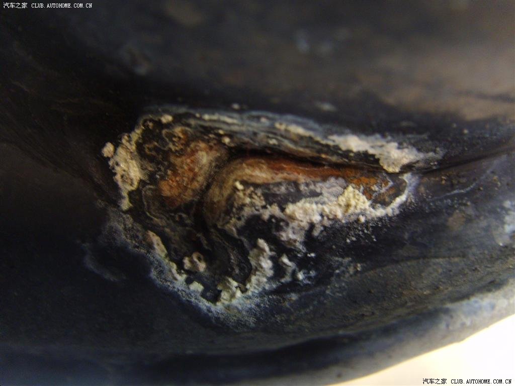 【图】【我在淘宝北京昊星买的SEBRING长肿