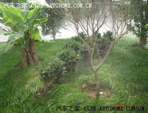 【图】青海省茫崖石棉矿到甘肃敦煌春节宝来H