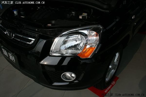 【图】<em>哥们</em>相中了狮子,<em>相面</em>狮跑_天籁论坛_汽