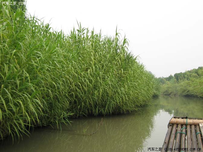 【图】!08端午节自驾常熟游美景美食!