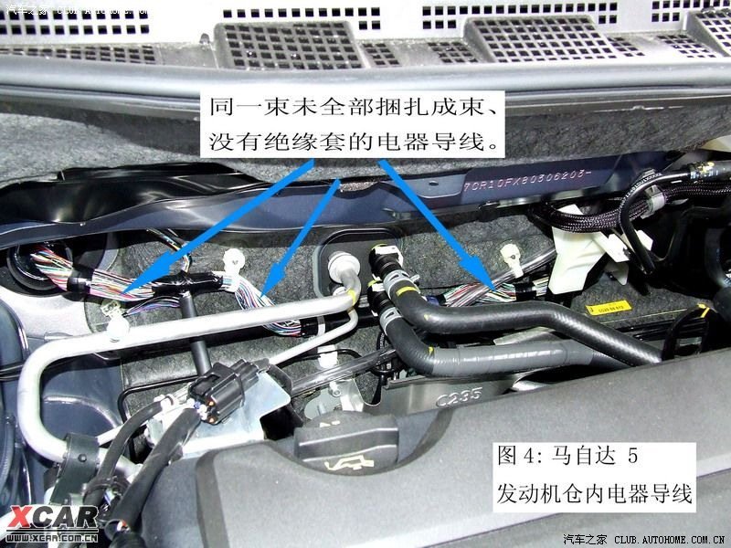 (二)马自达3汽车发动机仓内(冷却风扇处)发现一条单独穿行高清图片