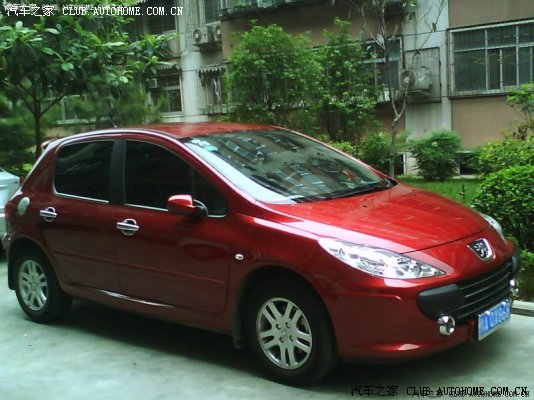 【图】大家的小狮子叫什么名字啊,都来说说吧