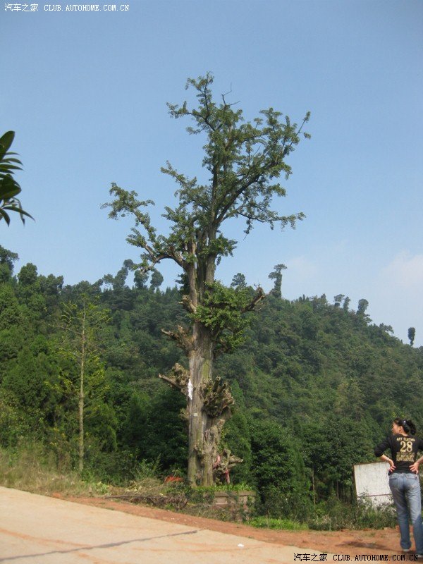 体验驾驶乐趣 练手 越野 欣赏美景-成都简阳丹