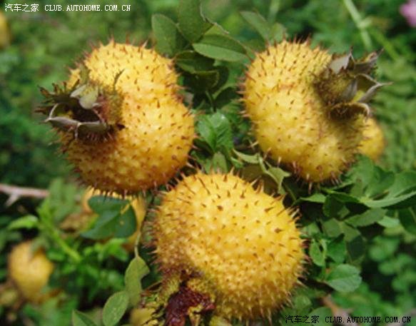 【图】跟车没得任何关系,不得不看