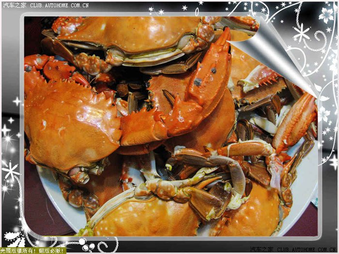 【图】【光头版权】答刺相机里的超短FB@!(有