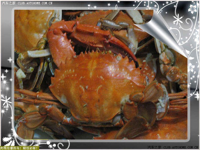 【图】【光头版权】答刺相机里的超短FB@!(有