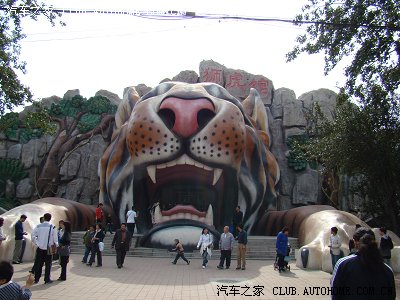 游览天津水上公园和动物园