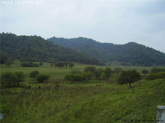 【图】克格勃驱虎中国行(陕西篇)