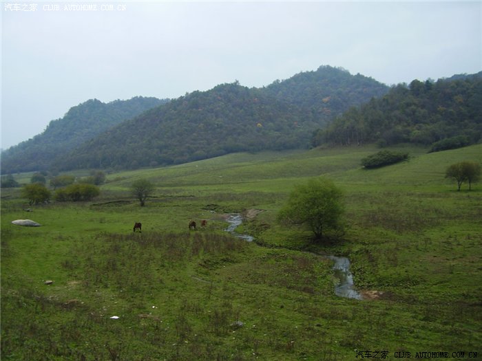 【图】克格勃驱虎中国行(陕西篇)