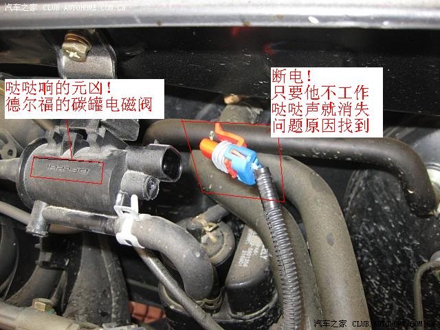 【图】所有哒哒响的鹰友请注意(新拍多图)确认