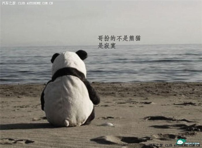 【图】吉利熊猫寂寞版