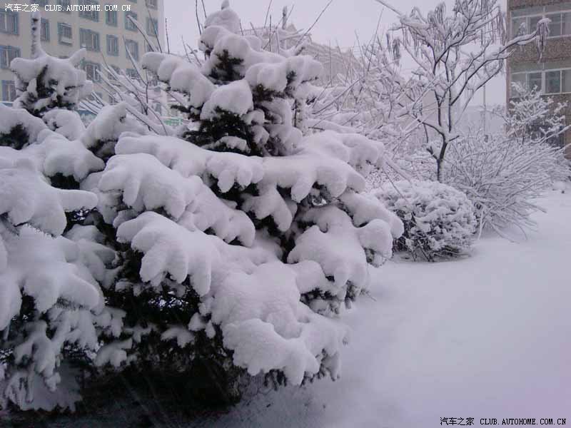 【图】吉林敦化大雪到暴雪黄色预警(有图)