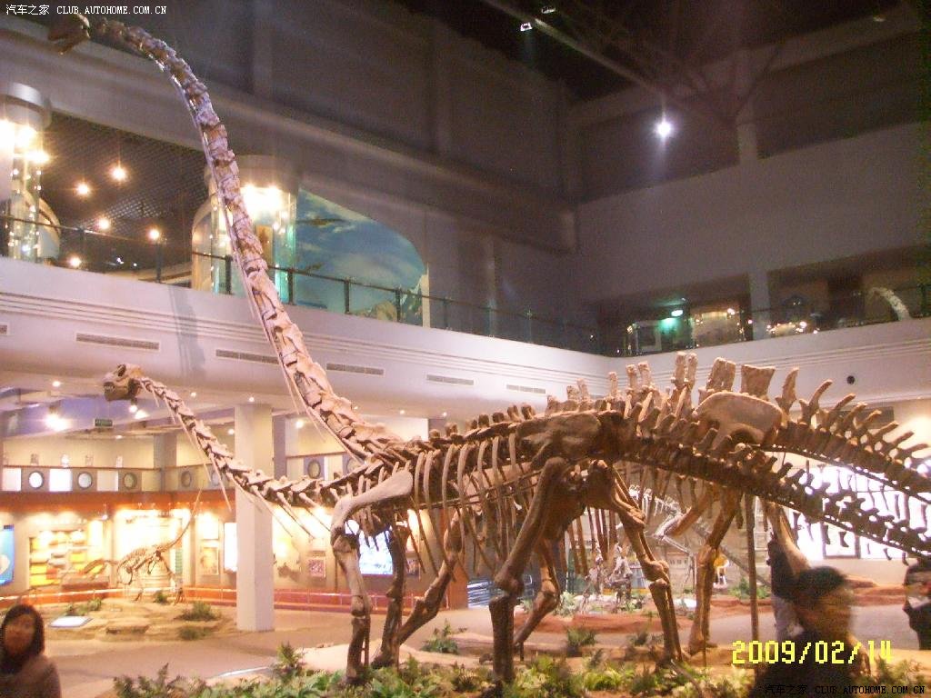 小福载我自贡归来——我的"恐龙/盐文化/彩灯"之旅