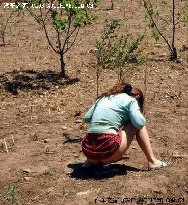 【图】什么是油路清洗(送无意拍到的走光图)