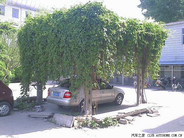 【图】望都县医院的绿色环保停车位