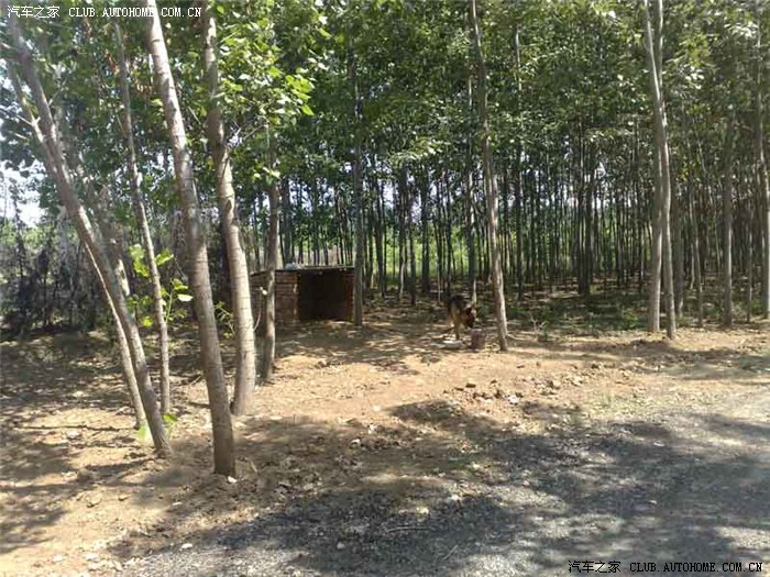 周末自驾游--北京郊区一亩三分田