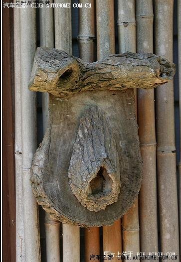 世界之大无奇不有!怪人怪事怪图片!