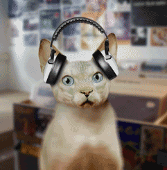 上班听听音乐,下班看看毛片(转)