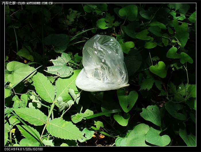 【图】韩国人--垃圾_远景论坛_汽车之家论坛