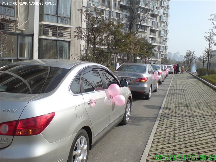 【图】哈尔滨轩逸婚车自驾游车队