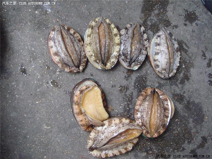 郑州-日照自驾游\/全记录.多图祥记录.后面还有