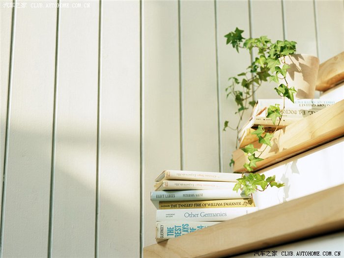 【图】【琪琪技术】最后一篇:简短的结语