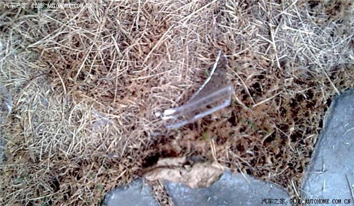 【图】polo处女撞!左后视镜维修、保险、理赔