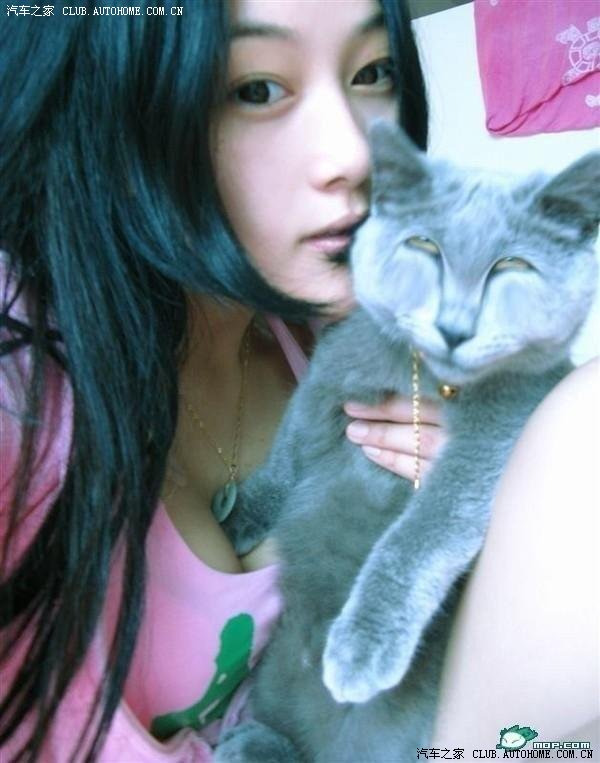 【图】请问临时牌照可以上高速吗 国际惯例_马