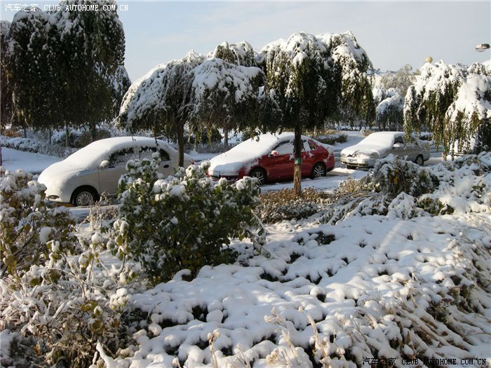 【图】大坑坑了我一条CSC2._速腾论坛_