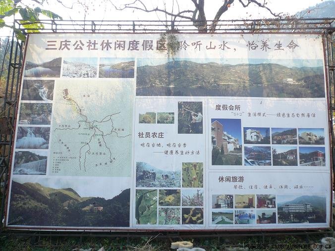 济南长清区万德镇武庄三庆公社摘柿子一日游(济南1031)