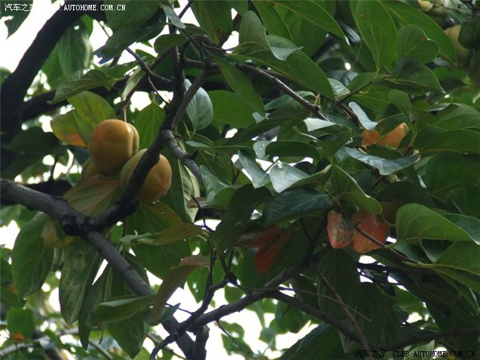 好天气,金陵山美景尽收眼底(申精)