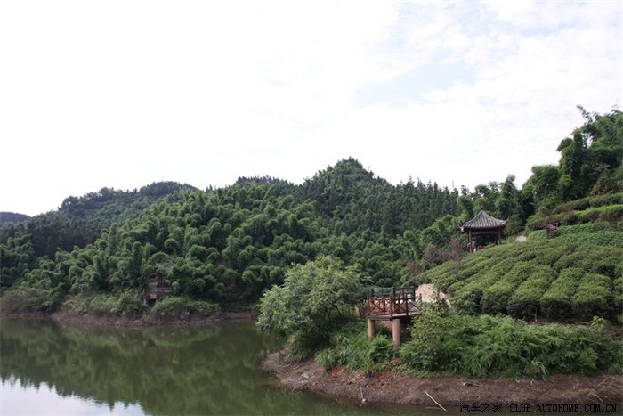 新增图片,美不胜收:国庆同悦自驾游沐川竹海_