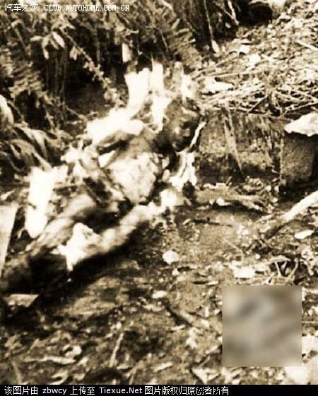 【图】盟军活活烧死鬼子全过程,是中国人就顶一下._山东论坛_汽车之家论坛