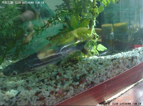 总费用10万以内目前综合得分最高车历经一年