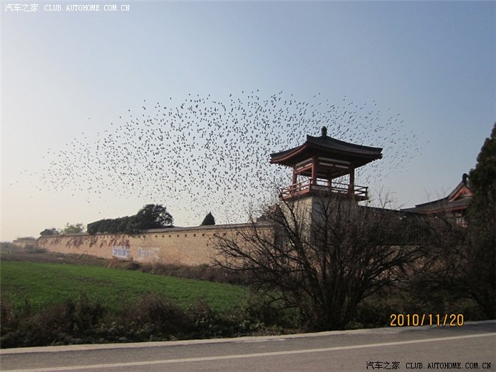 【图】中国女皇帝武则天陵寝--小宝初游记