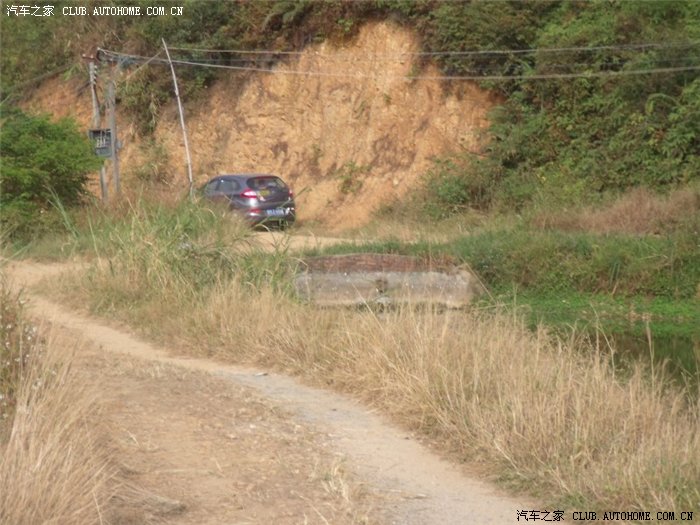 【图】风2自驾四会摘沙糖桔 少量图_风云2论坛