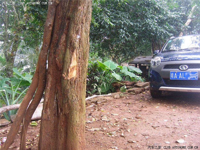【图】驾驶技术还有点问题,树皮都刮掉了,还好