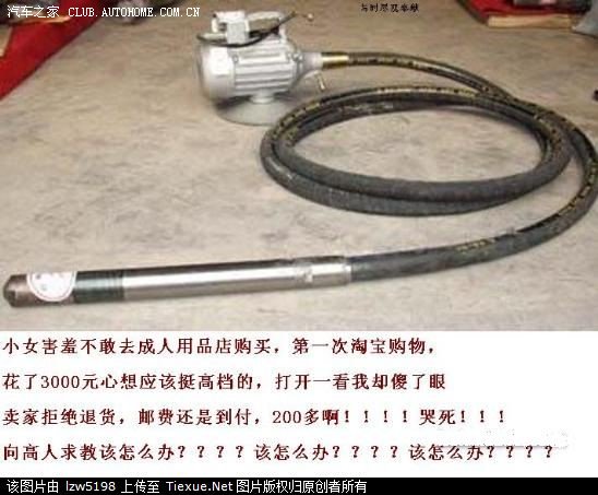 买振动棒嗮图_