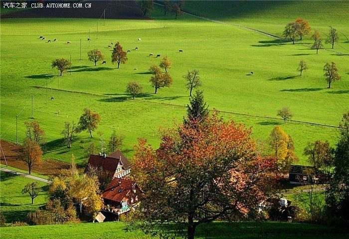 到欧洲发达国家的农村旅行竟然经常能见到中华
