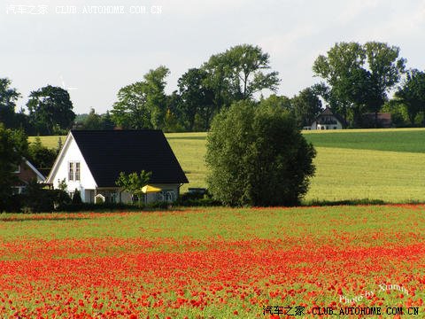 到欧洲发达国家的农村旅行竟然经常能见到中华