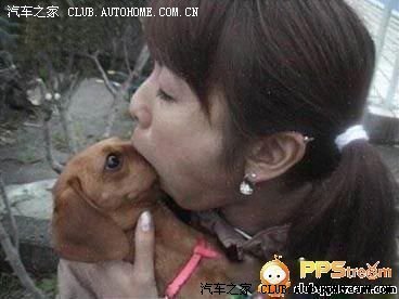 【图】汽车齿轮油 和柴油货车 齿轮油 是否能换