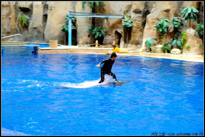北京海洋馆 北京动物园一日游_北京